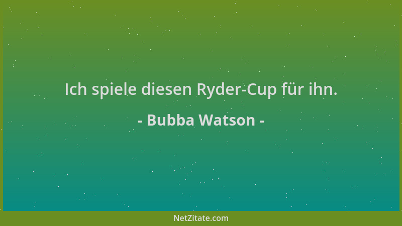 Bubba Watson - Ich spiele diesen Ryder-Cup für ihn....