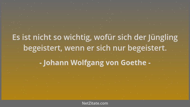 Johann Wolfgang von Goethe - Es ist nicht so wichtig, wofür sich der Jüngling begeistert, wenn er sich nur begeistert....
