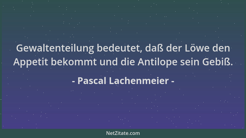 Pascal Lachenmeier - Gewaltenteilung bedeutet, daß der Löwe den Appetit bekommt und die Antilope sein Gebiß....