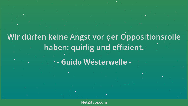 Guido Westerwelle - Wir dürfen keine Angst vor der Oppositionsrolle haben: quirlig und effizient....