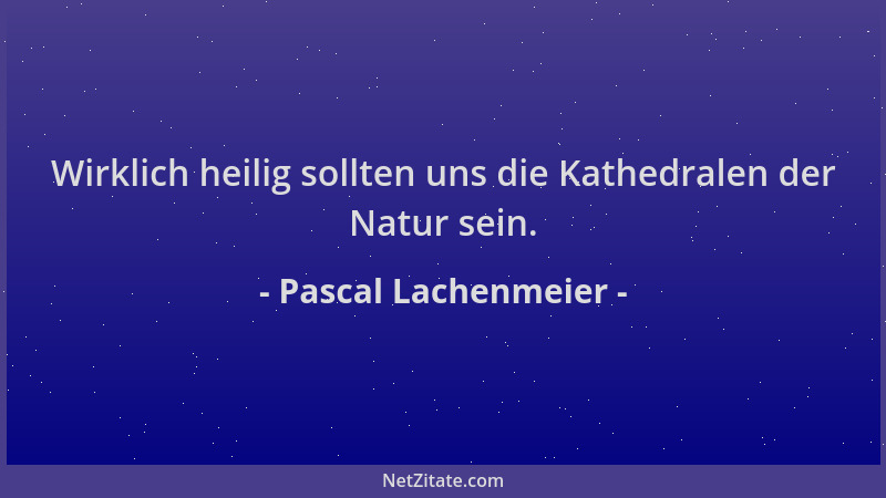 Pascal Lachenmeier - Wirklich heilig sollten uns die Kathedralen der Natur sein....