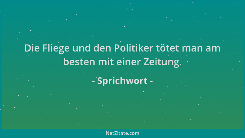 Sprichwort - Die Fliege und den Politiker tötet man am besten mit einer Zeitung....