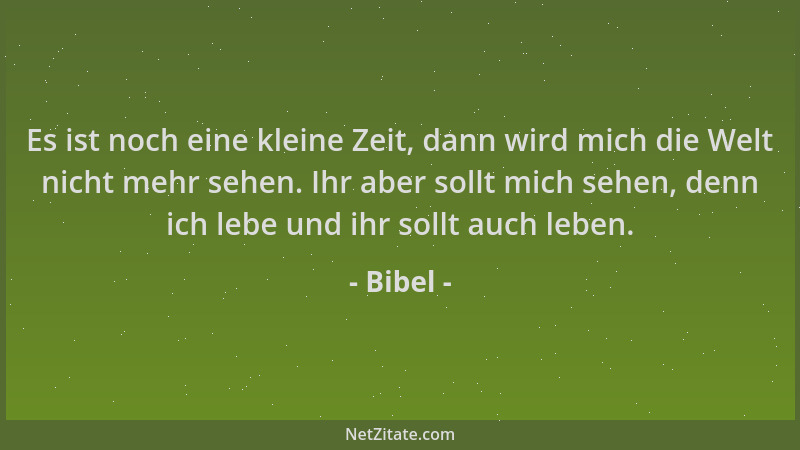 Bibel - Es ist noch eine kleine Zeit, dann wird mich die Welt nicht mehr sehen. Ihr aber sollt mich sehen, denn ich lebe un...
