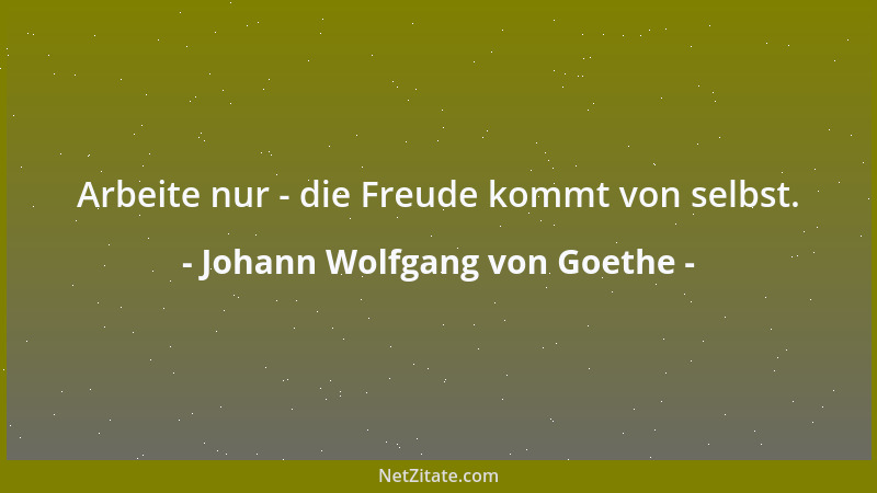 Johann Wolfgang von Goethe - Die Frauen sind silberne Schalen, in die wir goldene Äpfel legen....