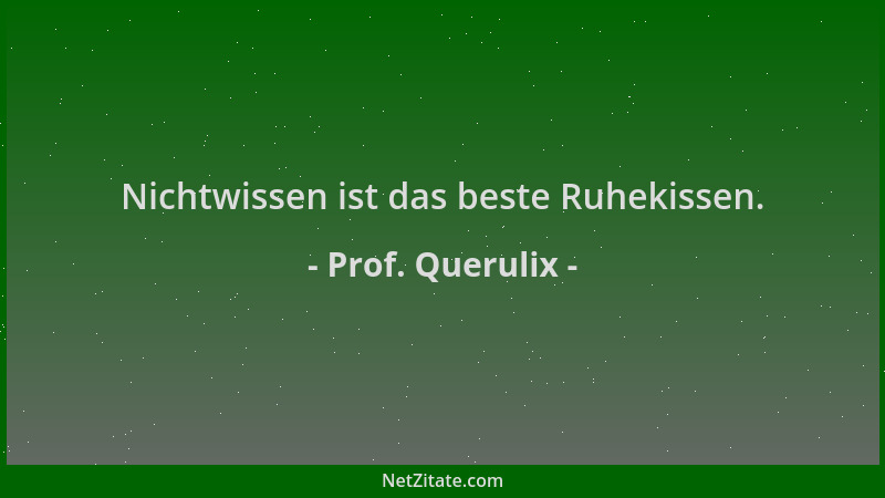 Prof. Querulix - Nichtwissen ist das beste Ruhekissen....