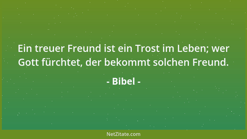 Bibel - Ein treuer Freund ist ein Trost im Leben; wer Gott fürchtet, der bekommt solchen Freund....