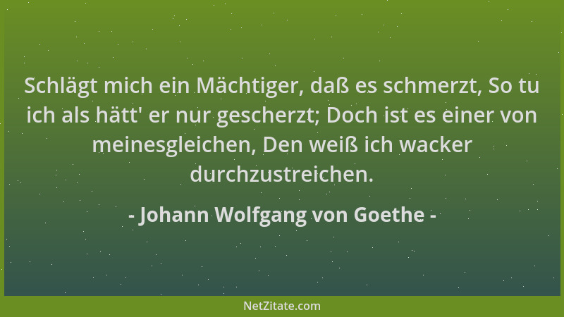 Johann Wolfgang von Goethe - Schlägt mich ein Mächtiger, daß es schmerzt, So tu ich als hätt ' er nur gescherzt; Doch ist es...