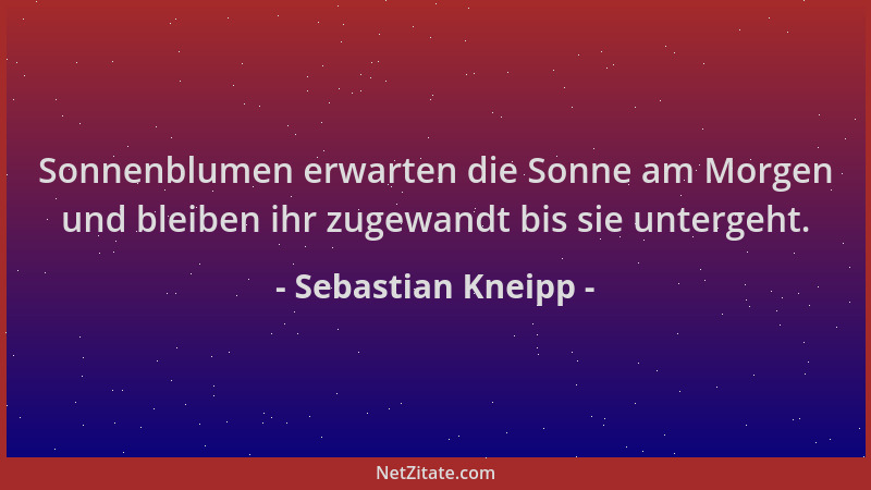 Sebastian Kneipp - Sonnenblumen erwarten die Sonne am Morgen und bleiben ihr zugewandt bis sie untergeht....