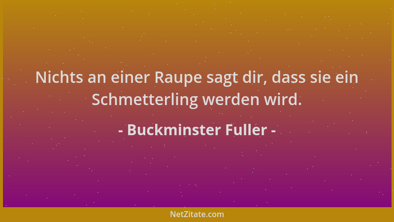 Buckminster Fuller - Nichts an einer Raupe sagt dir, dass sie ein Schmetterling werden wird....