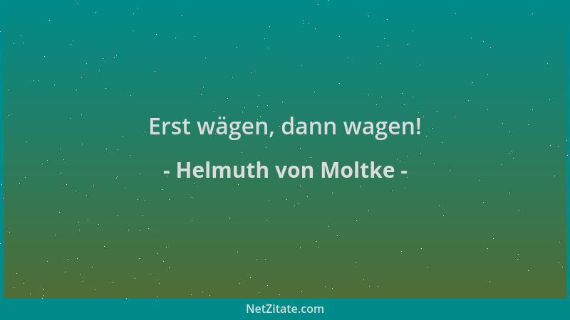 Helmuth von Moltke - Erst wägen, dann wagen!...