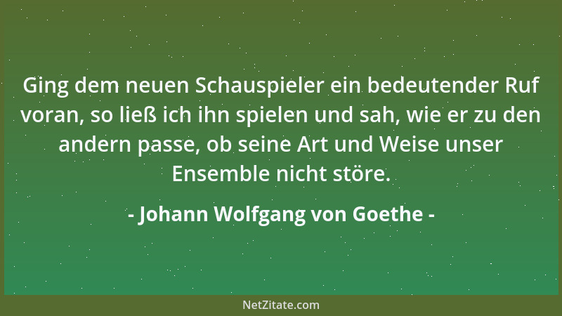 Johann Wolfgang von Goethe - Wer früh erwirbt lernt früh den Wert der holden Güter dieses Lebens kennen....