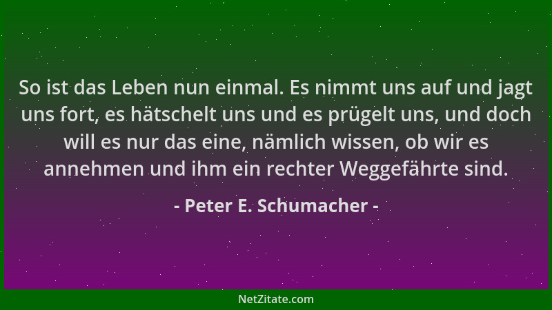 Peter E. Schumacher - So ist das Leben nun einmal. Es nimmt uns auf und jagt uns fort, es hätschelt uns und es prügelt uns,...