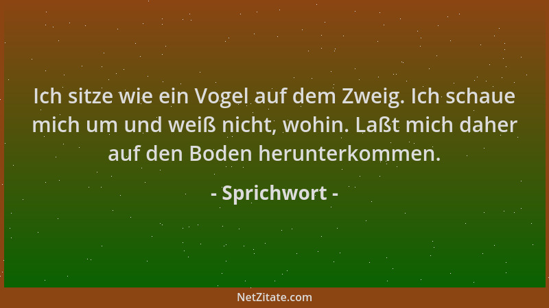 Sprichwort - Ich sitze wie ein Vogel auf dem Zweig. Ich schaue mich um und weiß nicht, wohin. Laßt mich daher auf den Boden...