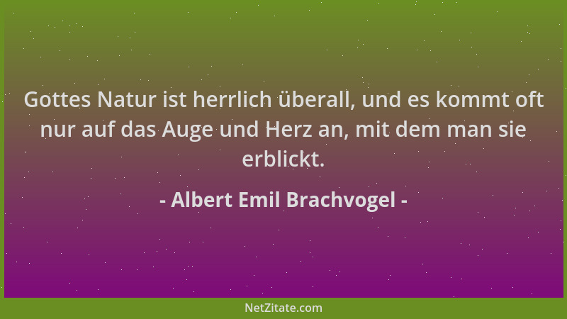 Albert Emil Brachvogel - Gottes Natur ist herrlich überall, und es kommt oft nur auf das Auge und Herz an, mit dem man sie...
