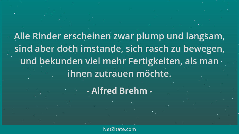 Alfred Brehm - Alle Rinder erscheinen zwar plump und langsam, sind aber doch imstande, sich rasch zu bewegen, und bekunden...