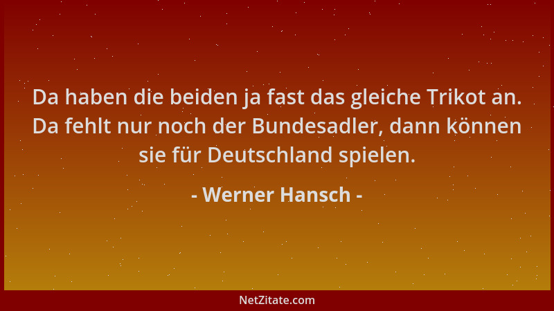 Werner Hansch - Da haben die beiden ja fast das gleiche Trikot an. Da fehlt nur noch der Bundesadler, dann können sie für D...