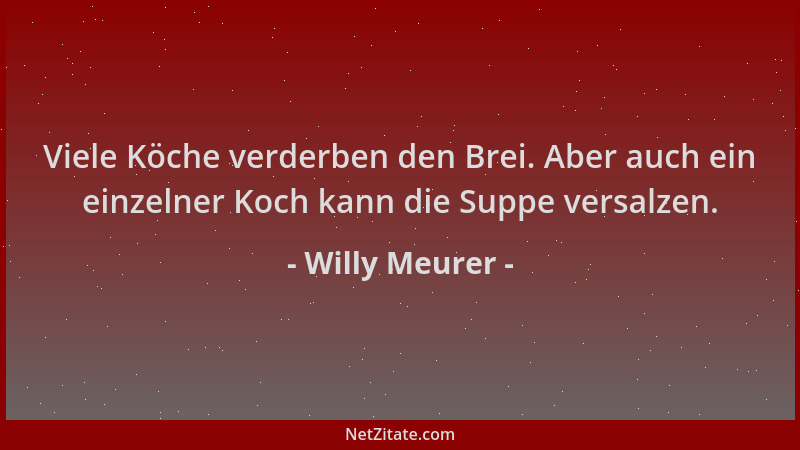 Willy Meurer - Viele Köche verderben den Brei. Aber auch ein einzelner Koch kann die Suppe versalzen....