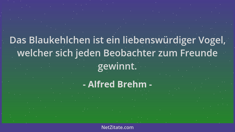 Alfred Brehm - Das Blaukehlchen ist ein liebenswürdiger Vogel, welcher sich jeden Beobachter zum Freunde gewinnt....