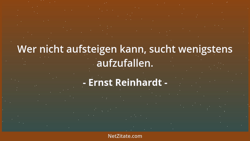 Ernst Reinhardt - Wer nicht aufsteigen kann, sucht wenigstens aufzufallen....
