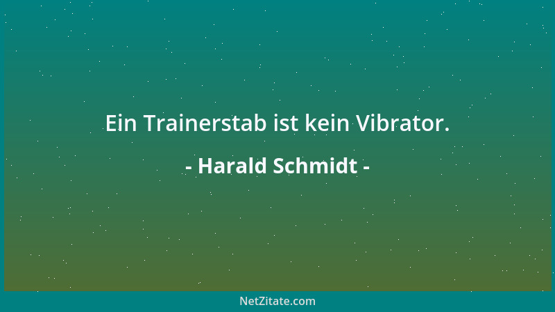 Harald Schmidt - Ein Trainerstab ist kein Vibrator....