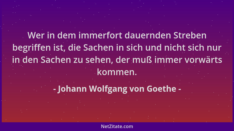 Johann Wolfgang von Goethe - Wer in dem immerfort dauernden Streben begriffen ist, die Sachen in sich und nicht sich nur in...