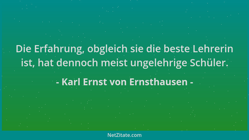 Karl Ernst von Ernsthausen - Die Erfahrung, obgleich sie die beste Lehrerin ist, hat dennoch meist ungelehrige Schüler....