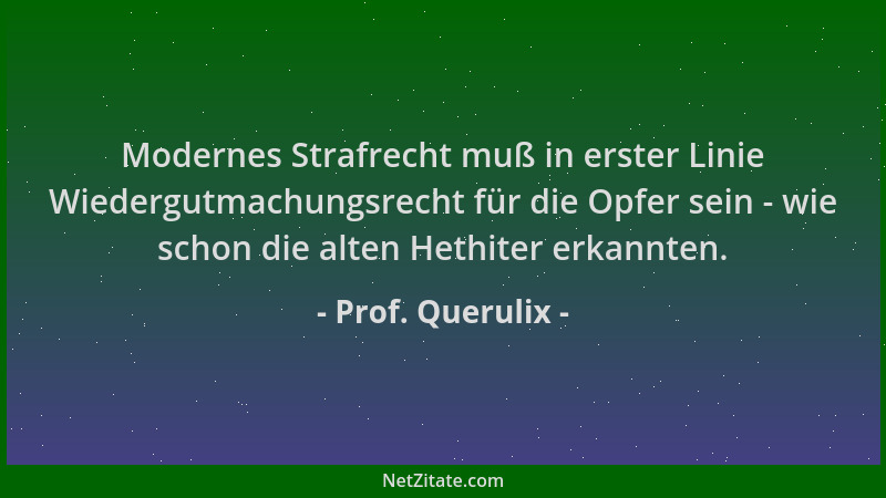 Prof. Querulix - Modernes Strafrecht muß in erster Linie Wiedergutmachungsrecht für die Opfer sein - wie schon die alten He...