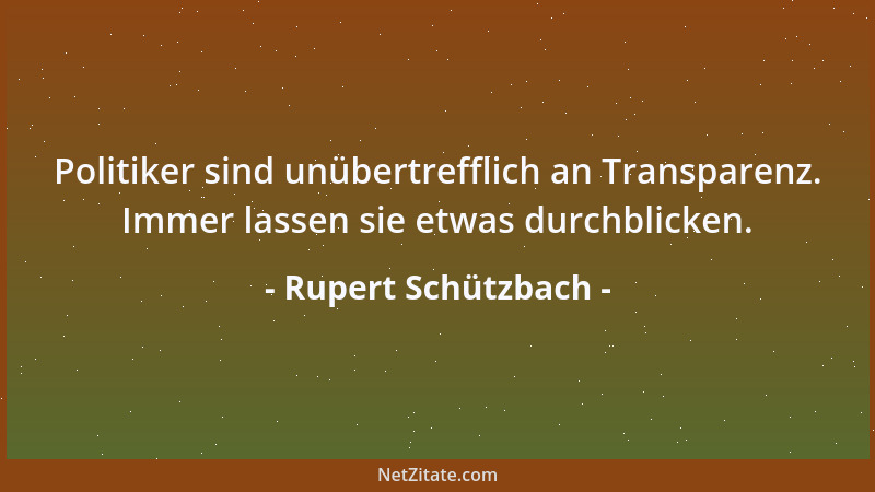Rupert Schützbach - Politiker sind unübertrefflich an Transparenz. Immer lassen sie etwas durchblicken....