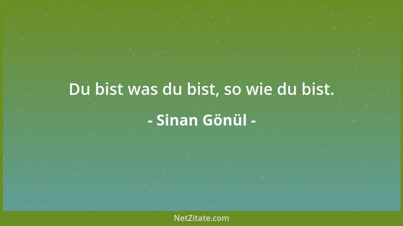 Sinan Gönül - Du bist was du bist, so wie du bist....