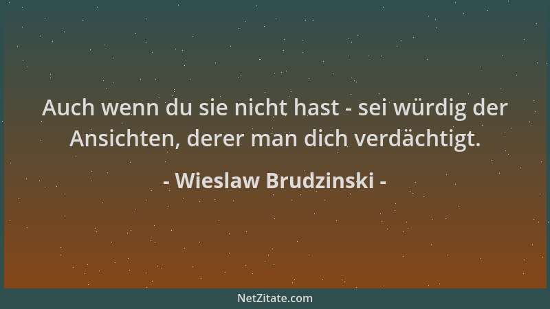 Wieslaw Brudzinski - Auch wenn du sie nicht hast - sei würdig der Ansichten, derer man dich verdächtigt....
