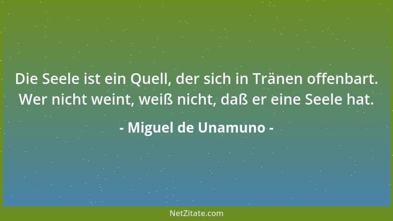 Miguel de Unamuno - Ewigkeit. Dieses ist unser Sterben; der Durst nach Ewigkeit ist es, den die Menschen unter sich Liebe n...