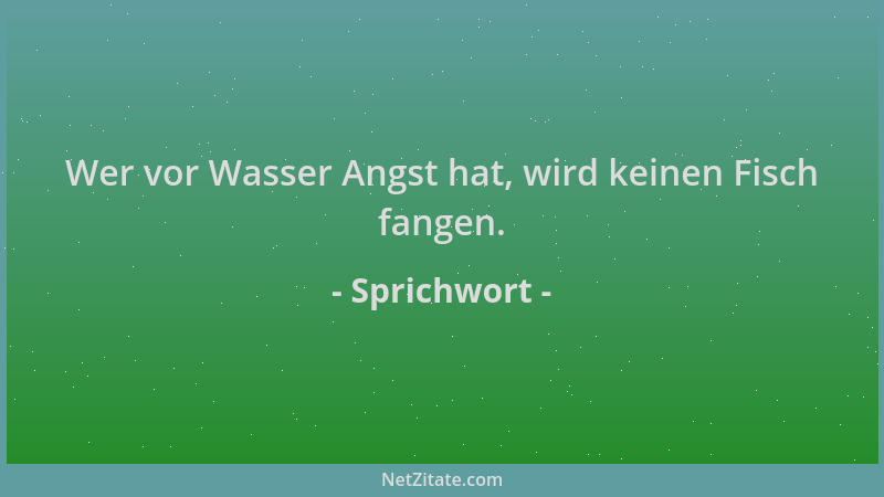 Sprichwort - Wer vor Wasser Angst hat, wird keinen Fisch fangen....