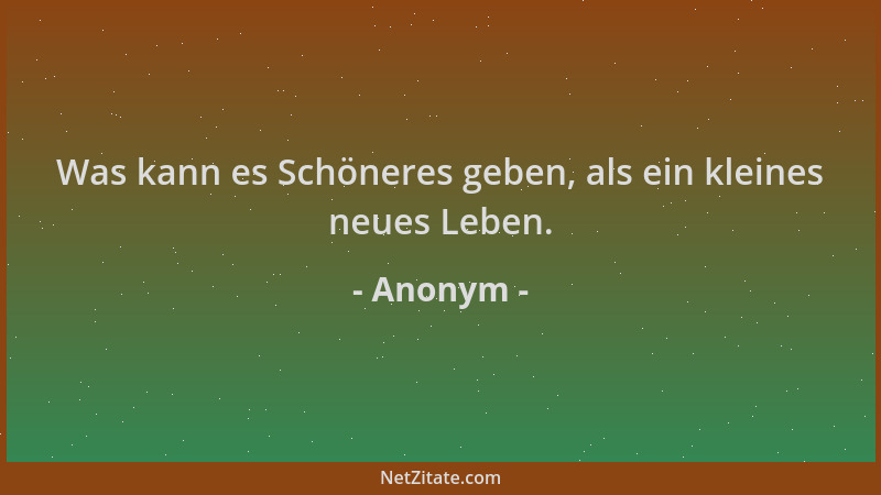 Anonym - Was kann es Schöneres geben, als ein kleines neues Leben....