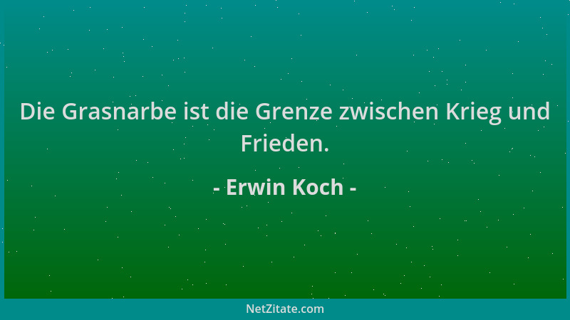Erwin Koch - Die Grasnarbe ist die Grenze zwischen Krieg und Frieden....