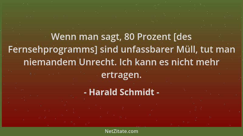 Harald Schmidt - Wenn man sagt, 80 Prozent [des Fernsehprogramms] sind unfassbarer Müll, tut man niemandem Unrecht. Ich kan...