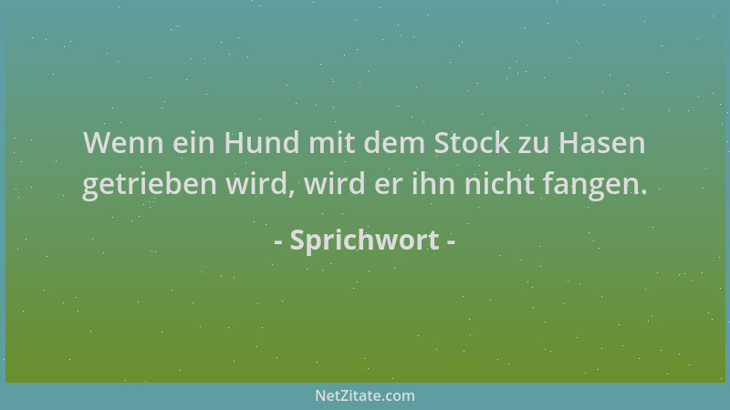 Sprichwort - Wenn ein Hund mit dem Stock zu Hasen getrieben wird, wird er ihn nicht fangen....