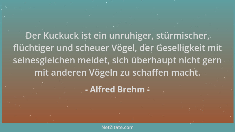Alfred Brehm - Der Kuckuck ist ein unruhiger, stürmischer, flüchtiger und scheuer Vögel, der Geselligkeit mit seinesgleiche...