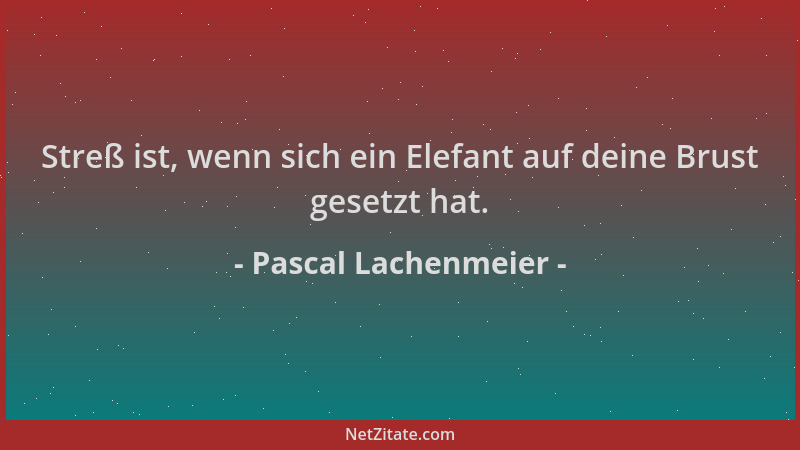 Pascal Lachenmeier - Streß ist, wenn sich ein Elefant auf deine Brust gesetzt hat....
