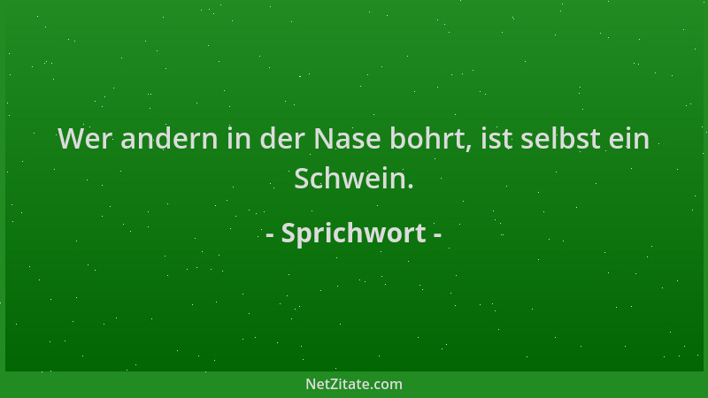 Sprichwort - Wer andern in der Nase bohrt, ist selbst ein Schwein....