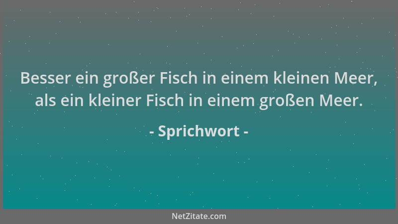 Sprichwort - Besser ein großer Fisch in einem kleinen Meer, als ein kleiner Fisch in einem großen Meer....