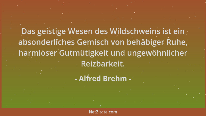Alfred Brehm - Das geistige Wesen des Wildschweins ist ein absonderliches Gemisch von behäbiger Ruhe, harmloser Gutmütigkei...