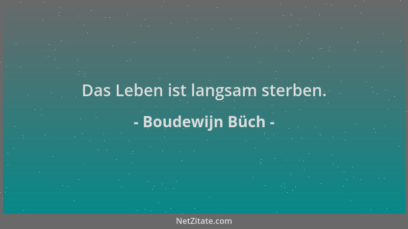 Boudewijn Büch - Das Leben ist langsam sterben....