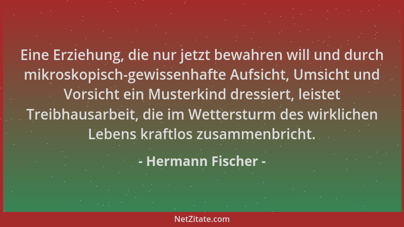 Hermann Fischer - Eine Erziehung, die nur jetzt bewahren will und durch mikroskopisch-gewissenhafte Aufsicht, Umsicht und V...