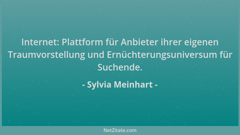 Sylvia Meinhart - Internet: Plattform für Anbieter ihrer eigenen Traumvorstellung und Ernüchterungsuniversum für Suchende....