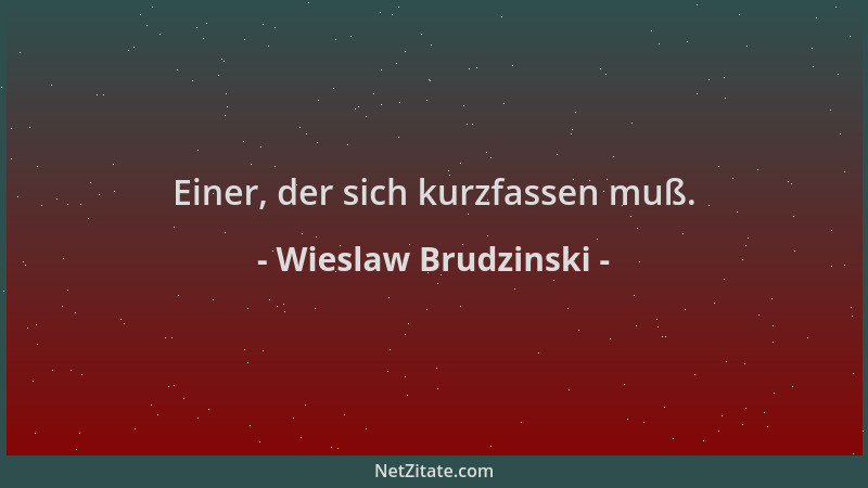 Wieslaw Brudzinski - Einer, der sich kurzfassen muß....