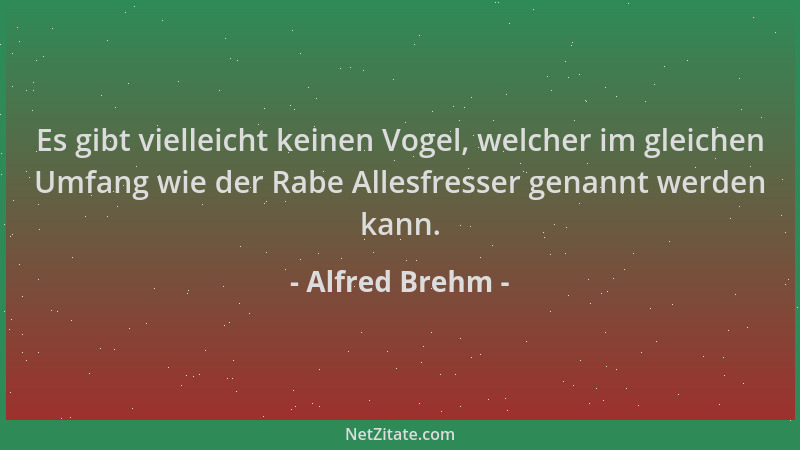 Alfred Brehm - Es gibt vielleicht keinen Vogel, welcher im gleichen Umfang wie der Rabe Allesfresser genannt werden kann....