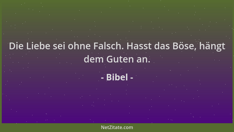 Bibel - Die Liebe sei ohne Falsch. Hasst das Böse, hängt dem Guten an....