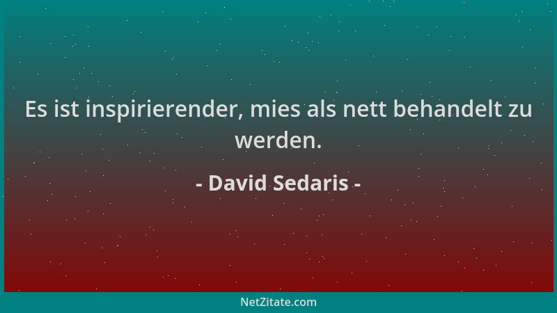 David Sedaris - Es ist inspirierender, mies als nett behandelt zu werden....