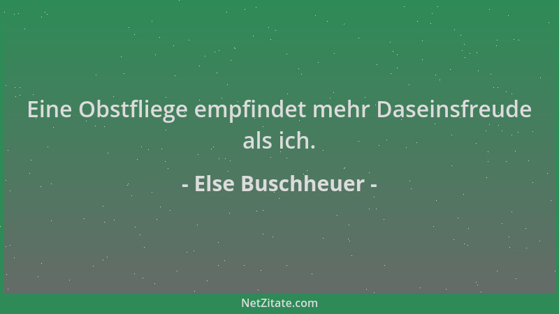 Else Buschheuer - Eine Obstfliege empfindet mehr Daseinsfreude als ich....