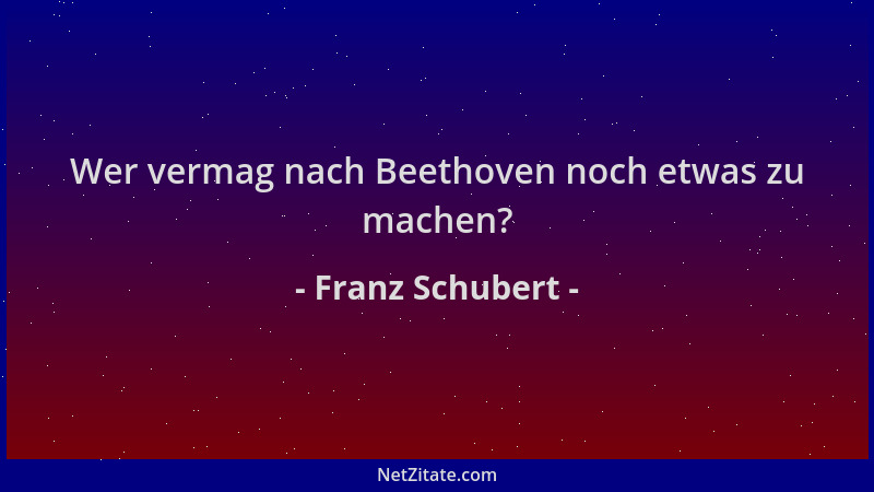 Franz Schubert - Wer vermag nach Beethoven noch etwas zu machen?...